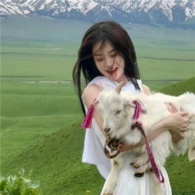 飞机总动员2:打火英雄